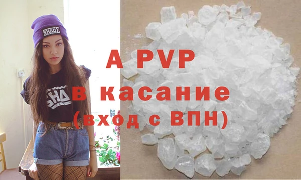 сатива Белоозёрский