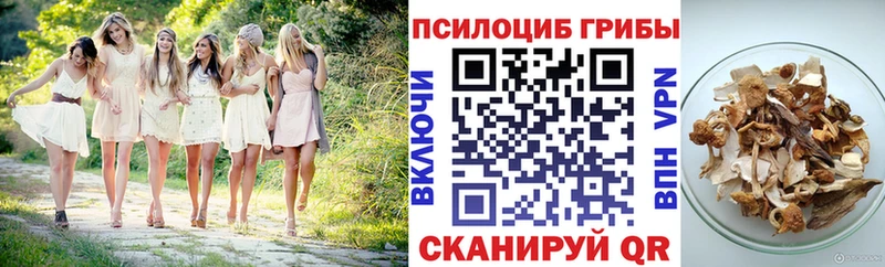 Псилоцибиновые грибы Cubensis  Краснослободск 